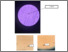 [thumbnail of 12. LAMPIRAN ADEL.pdf]
