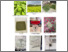 [thumbnail of 12. Lampiran.pdf]